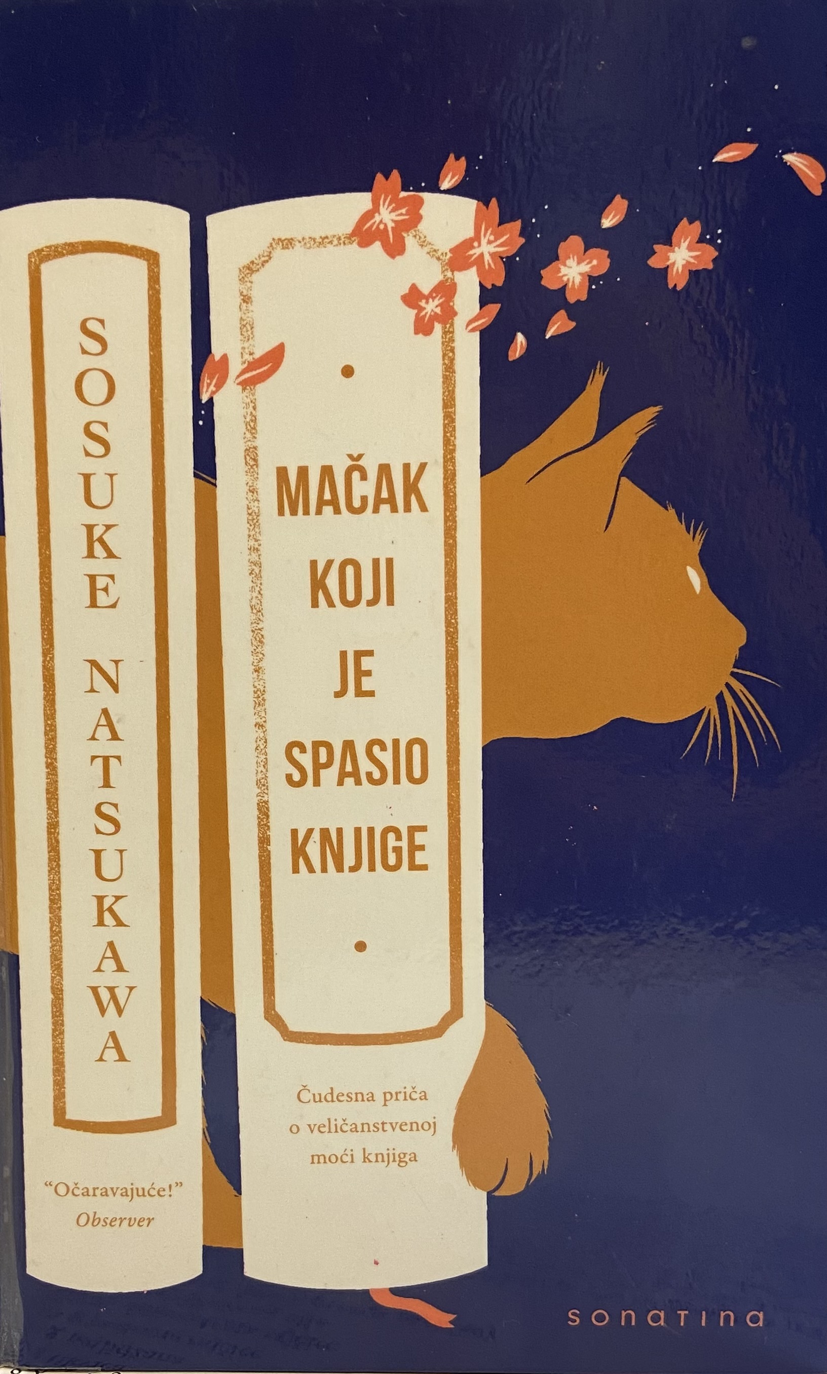 slika programa