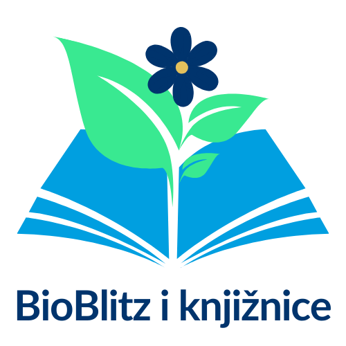 slika programa