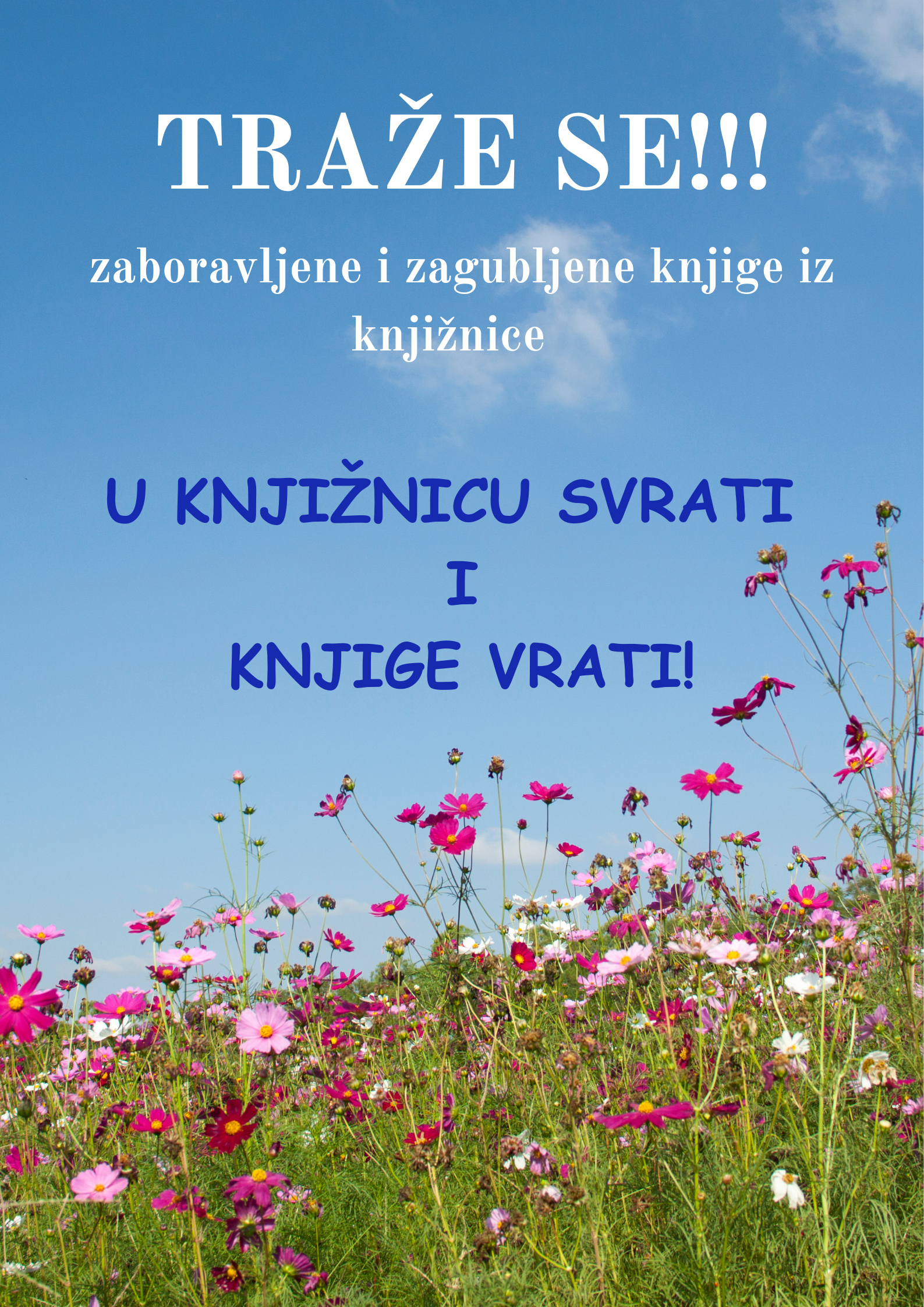 slika programa
